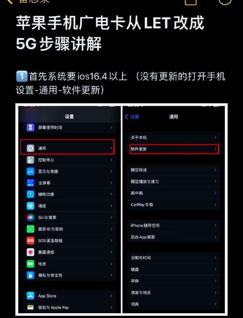 手机小红书如何升级版本?