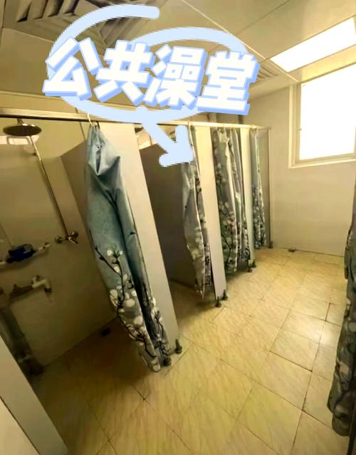 freaks抖音宿舍是真实大学生日常记录还是团队策划的剧本化内容?其走红背后藏着哪些流量密码?