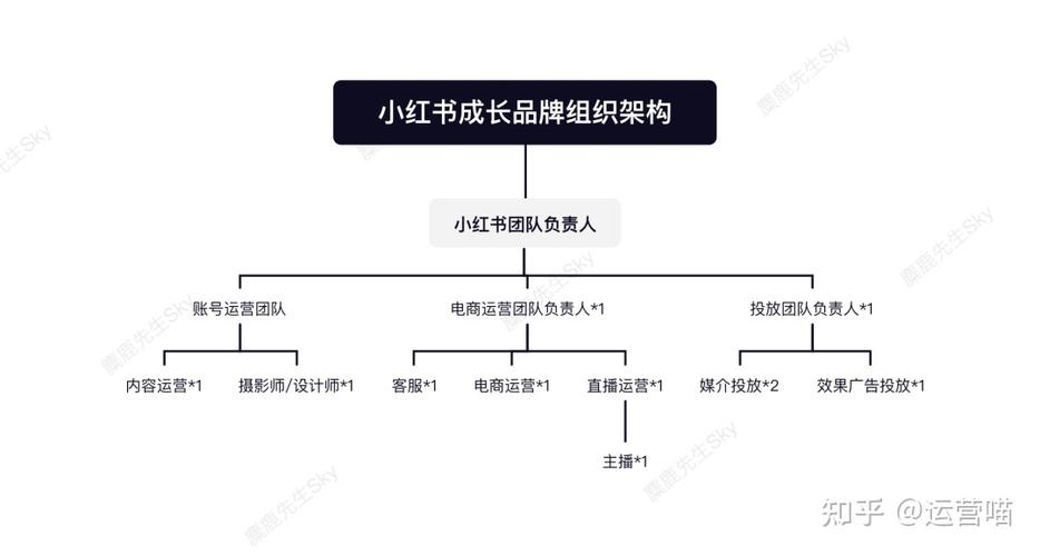 小红书公司的组织架构图具体如何划分?各部门职能与协作机制是怎样的?这种架构对业务发展有何影响?
