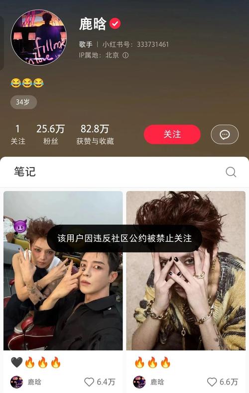 为什么小红书关注列表不显示?是平台bug还是操作失误?如何快速恢复关注可见?