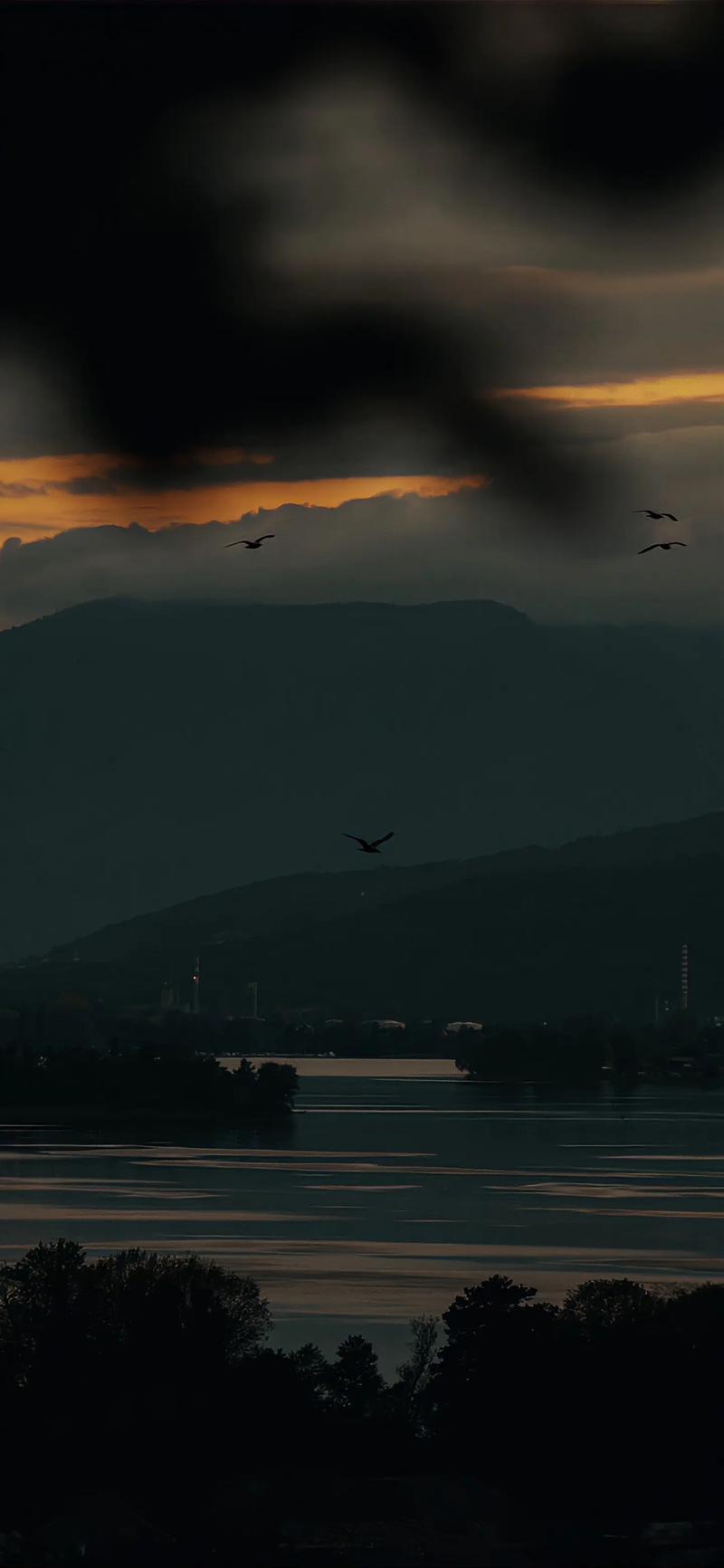 为什么抖音上流行的iPhone壁纸总能精准戳中年轻人的审美?这些壁纸藏着怎样的设计密码?