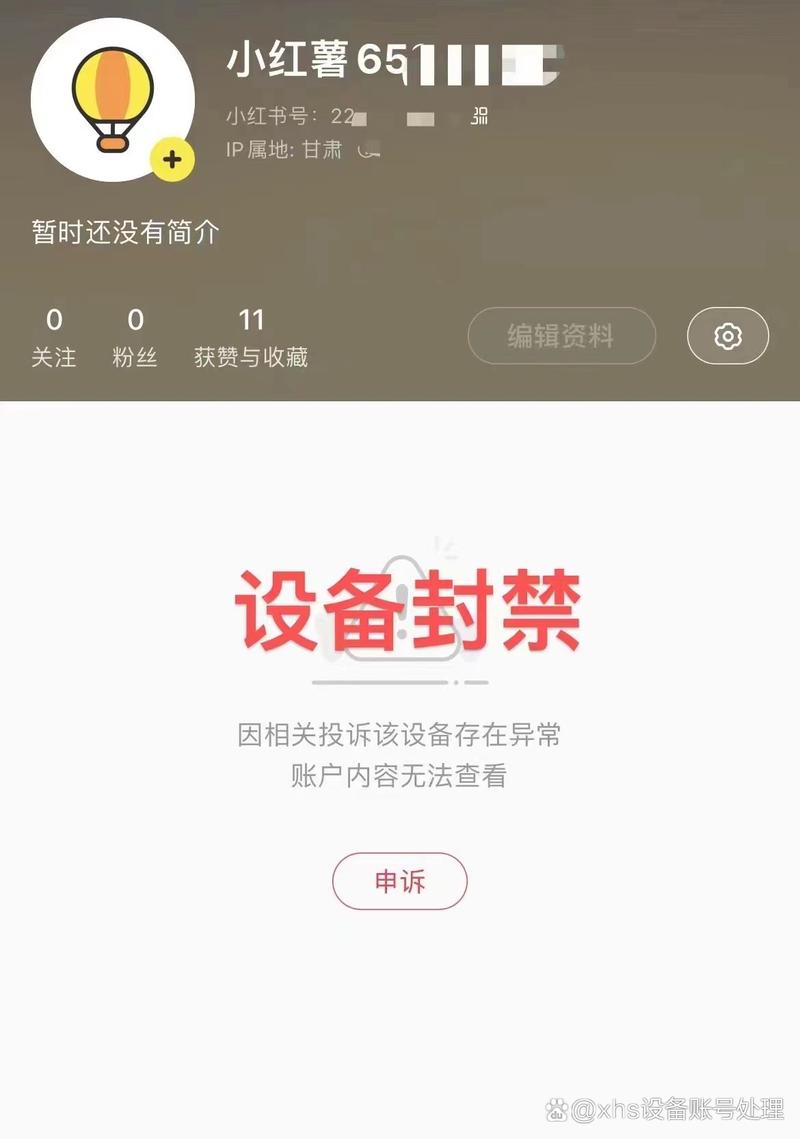 小红书电脑端为何无法登录?是系统维护还是账号限制?用户该如何解决登录问题?