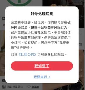 为什么我的小红书账号突然无法关注别人?是平台限制还是账号异常?到底该怎么解决?