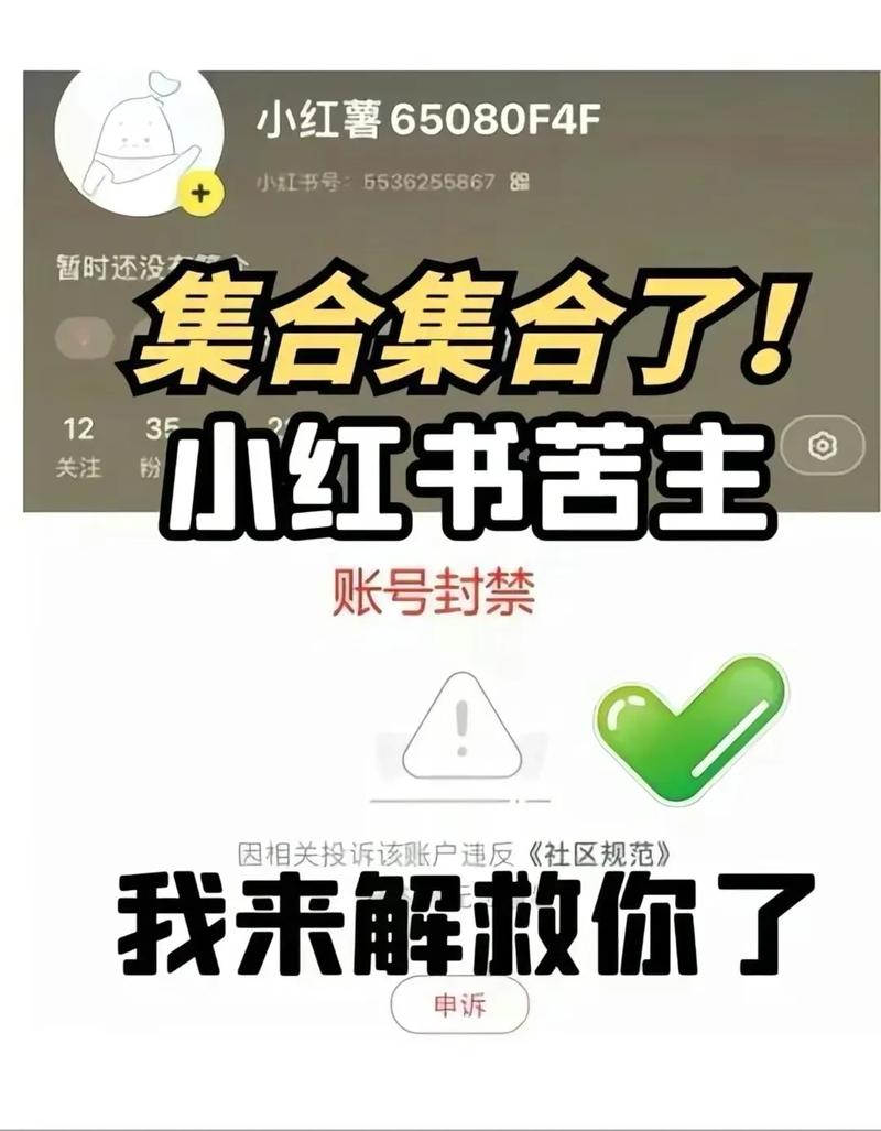 小红书官网搜索功能突然失效，是系统故障还是用户数据出问题了？