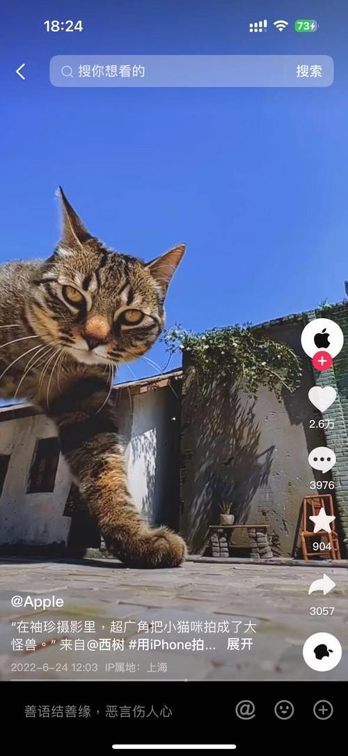 iPhone拍摄抖音如何突破手机硬件限制,拍出电影级质感?