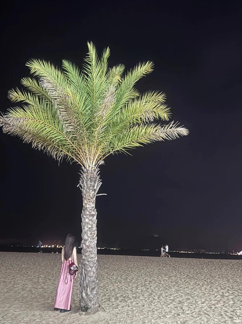 iPhone拍摄抖音如何突破手机硬件限制,拍出电影级质感?