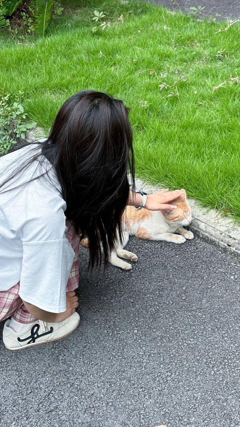 抖音say miao现象背后，藏着怎样的年轻社交密码与网络文化密码？