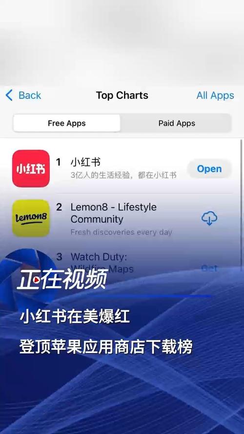 为什么小红书苹果端app下载后无法正常使用？是设备不兼容还是账号登录异常？