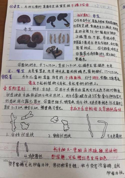 小红书笔记如何突破流量瓶颈,获得平台推荐机制青睐?