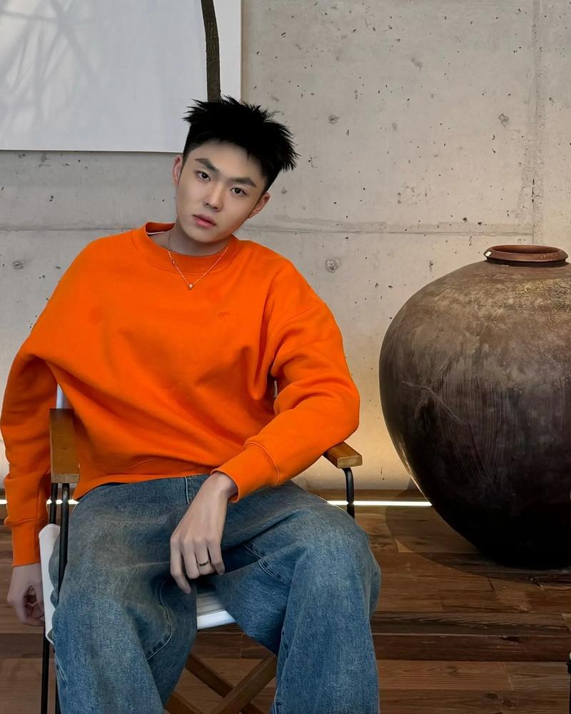 抖音IDidontno为何能吸引大量关注？其内容背后藏着怎样的故事或独特魅力？