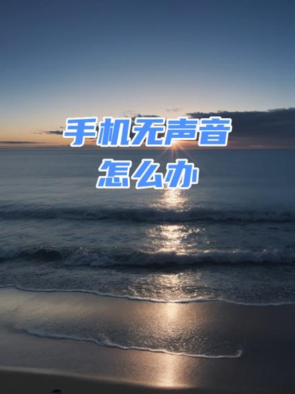 快手录声音的视频没声音