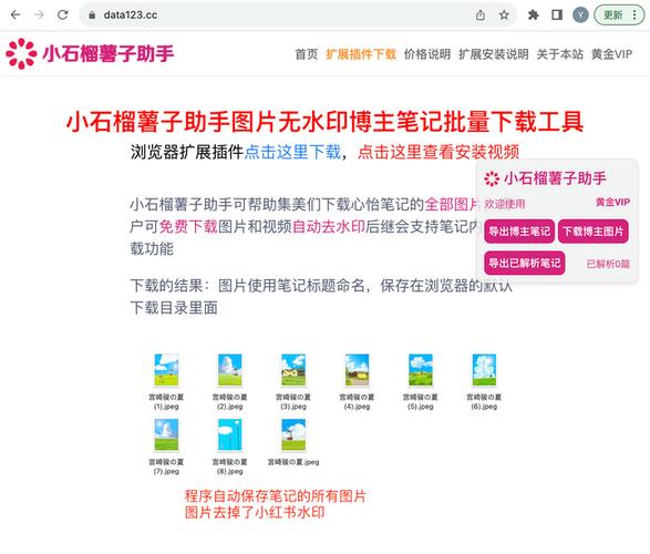小红书怎么保存原始图片？教你3步无损下载高清原图，附常见问题解决技巧
