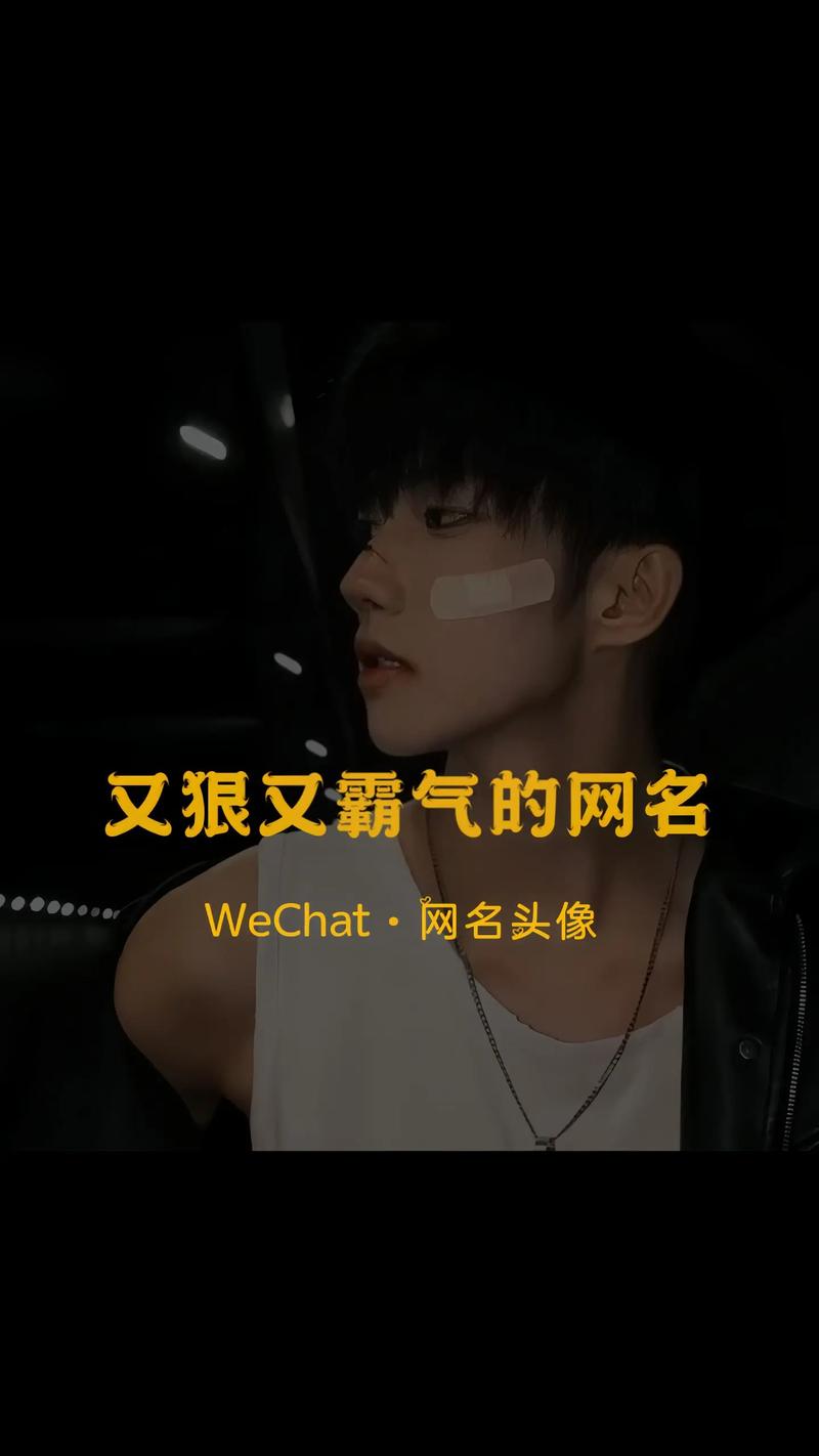 快手十大男神排行榜id