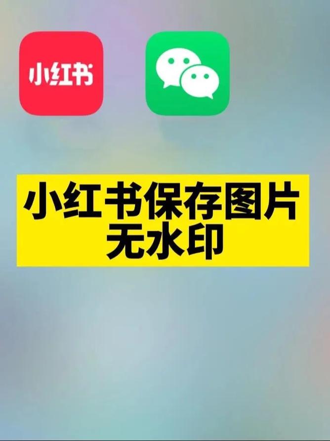 怎么收藏小红书图片大全