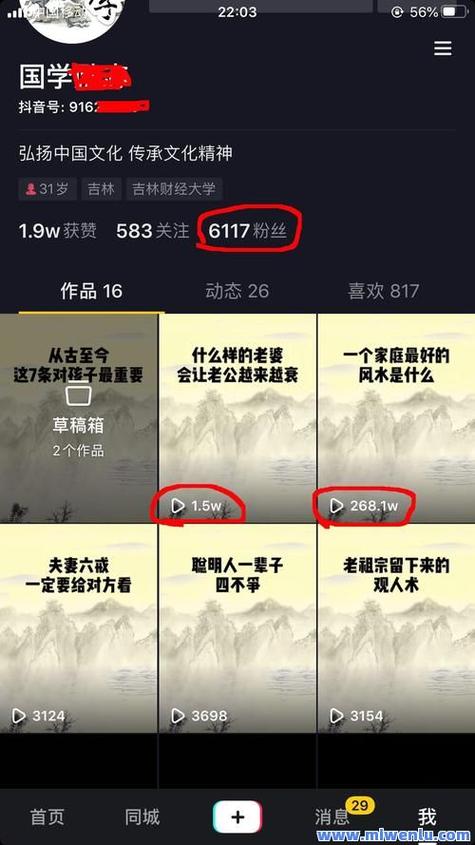 快手作品链接地址是什么？如何找到并正确使用快手作品的链接地址？