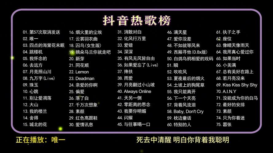 抖音神曲 群星《抖烧