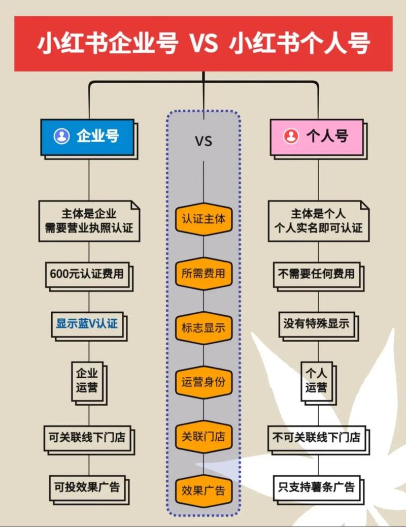 小红书APP为何能成为年轻人生活必备？它到底藏着哪些实用价值与独特魅力？