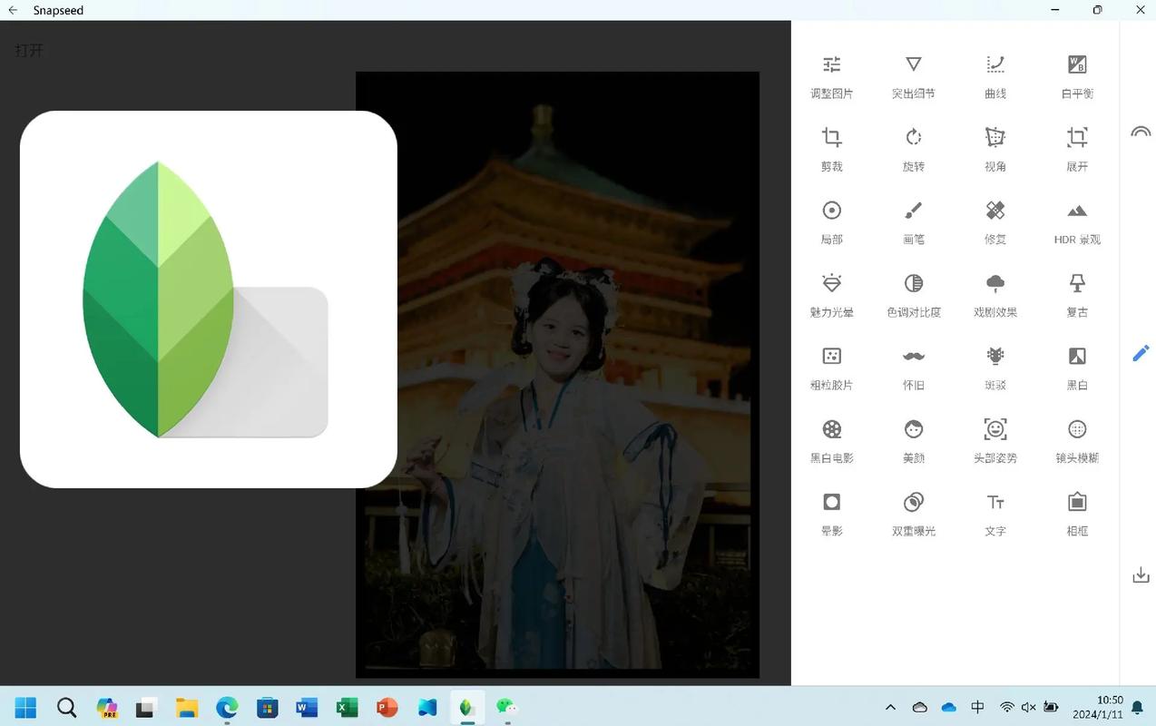 Snapseed在抖音上为何能成为修图神器？它与抖音滤镜有何不同，新手如何快速掌握？