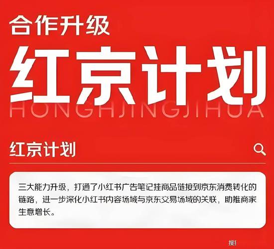 京东和小红书聚美优品