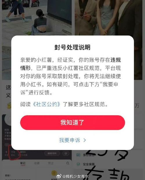 小红书无线网登录不了