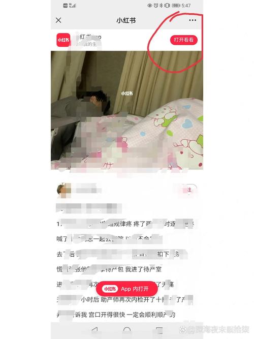 为什么小红书每次打开都要重新登录?是账号设置有问题还是手机缓存导致的?