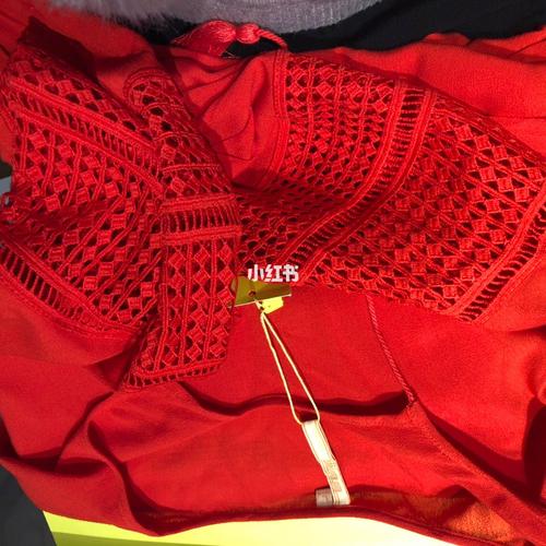 为什么我的小红书私人专辑突然找不到了?是系统bug还是设置出了问题?