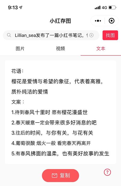 怎么复制小红书的文字