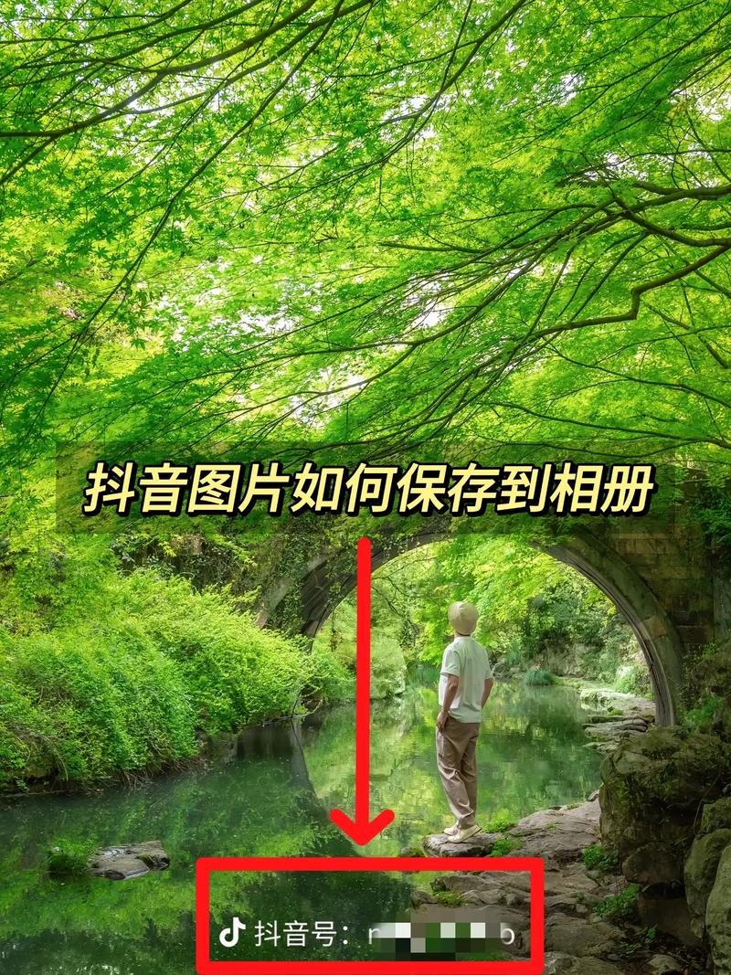 小红书照片保存全攻略,手机/电脑端如何一键保存高清原图?