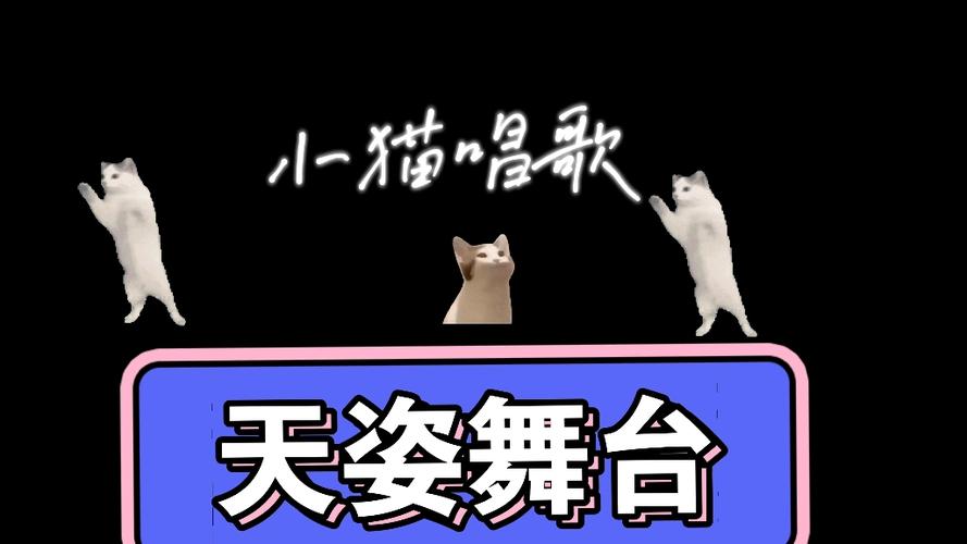 抖音里猫跳舞的视频,用的都是哪些超洗脑的神曲?