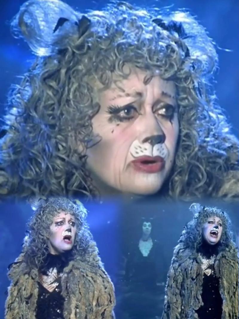 抖音里猫跳舞的视频,用的都是哪些超洗脑的神曲?