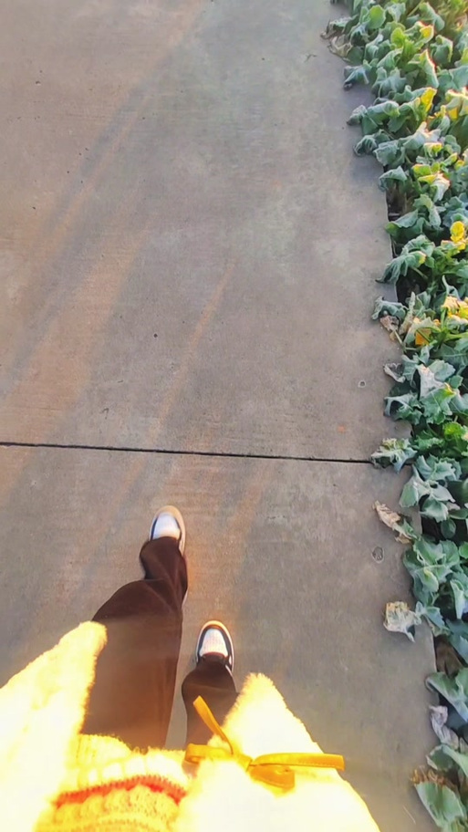 抖音热门视频里常出现的伸手动作配的是什么背景音乐?求具体歌名和歌手信息!