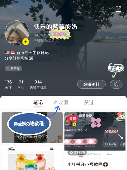 小红书收藏夹找不到?新手必看,入口位置+查找技巧,你的宝藏内容藏哪了?