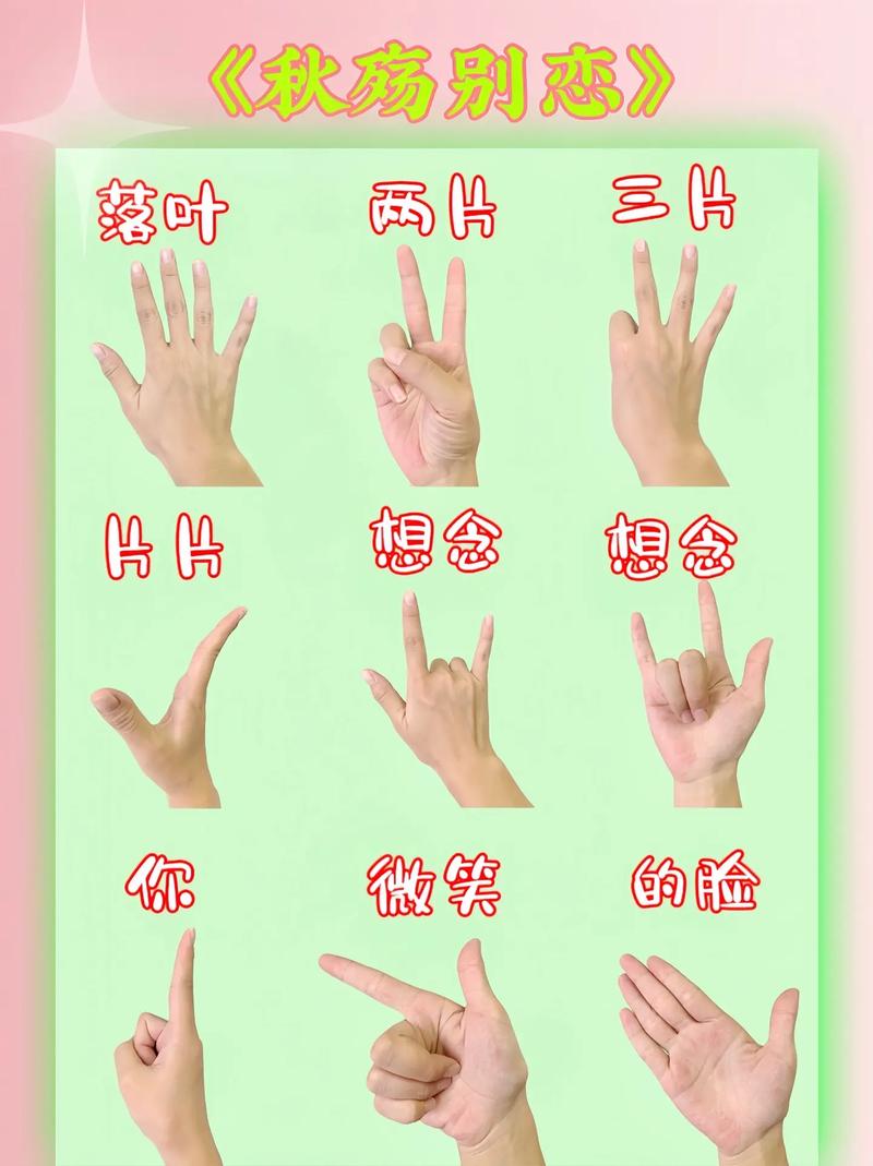 抖音短视频手势教学