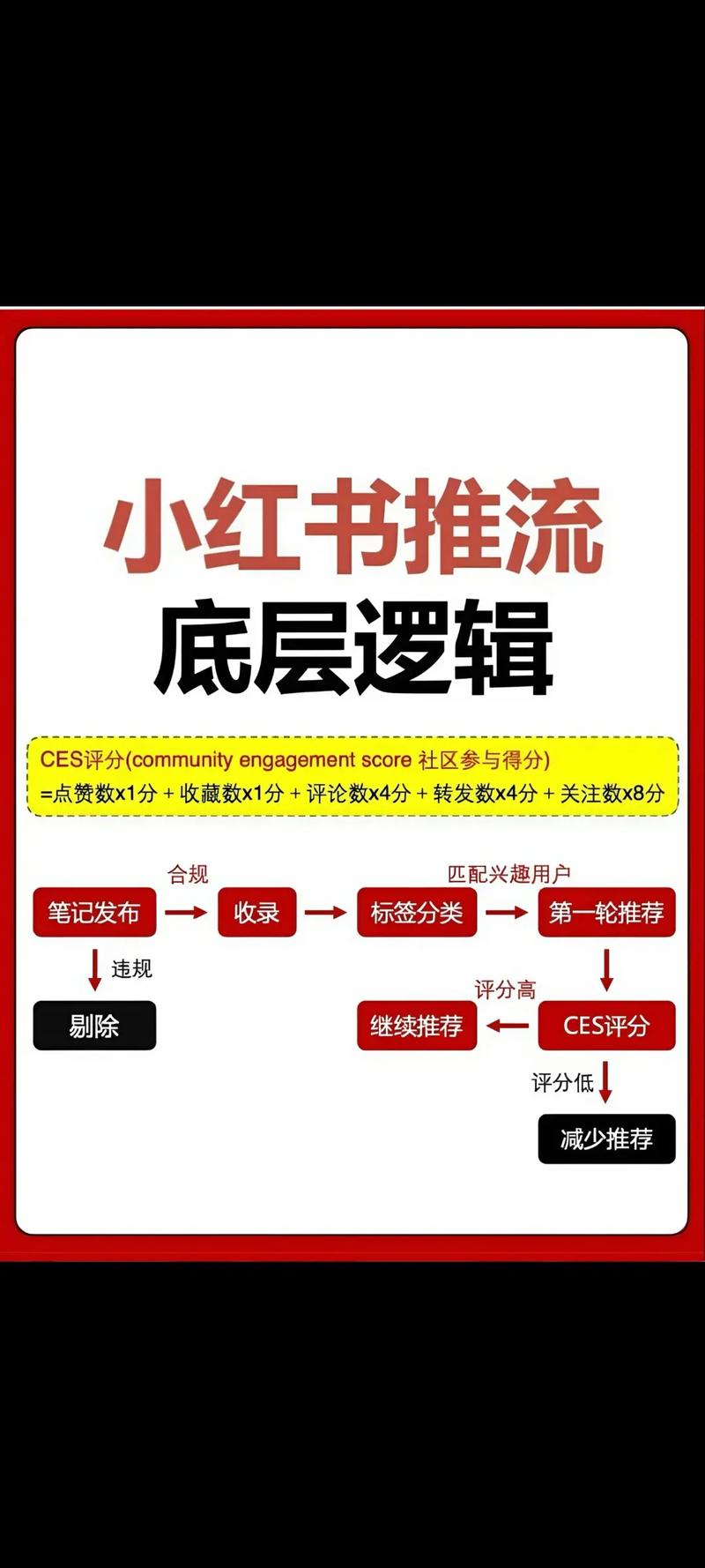 小红书平台每日上新时间有固定规律吗?不同品类商品上新节奏是否一致?