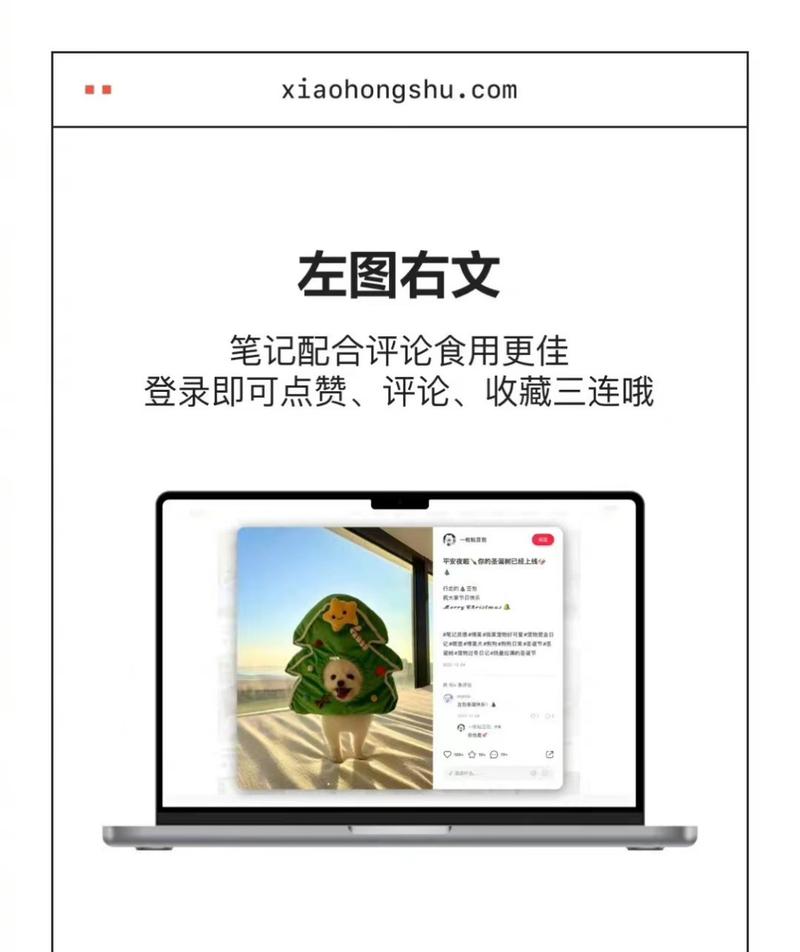 小红书网页版存在吗？如果没有，官方是否有替代登录或使用方式？