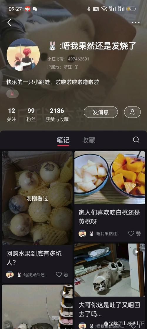 为什么下载的小红书APP一直显示登录失败，账号密码正确也登不上？