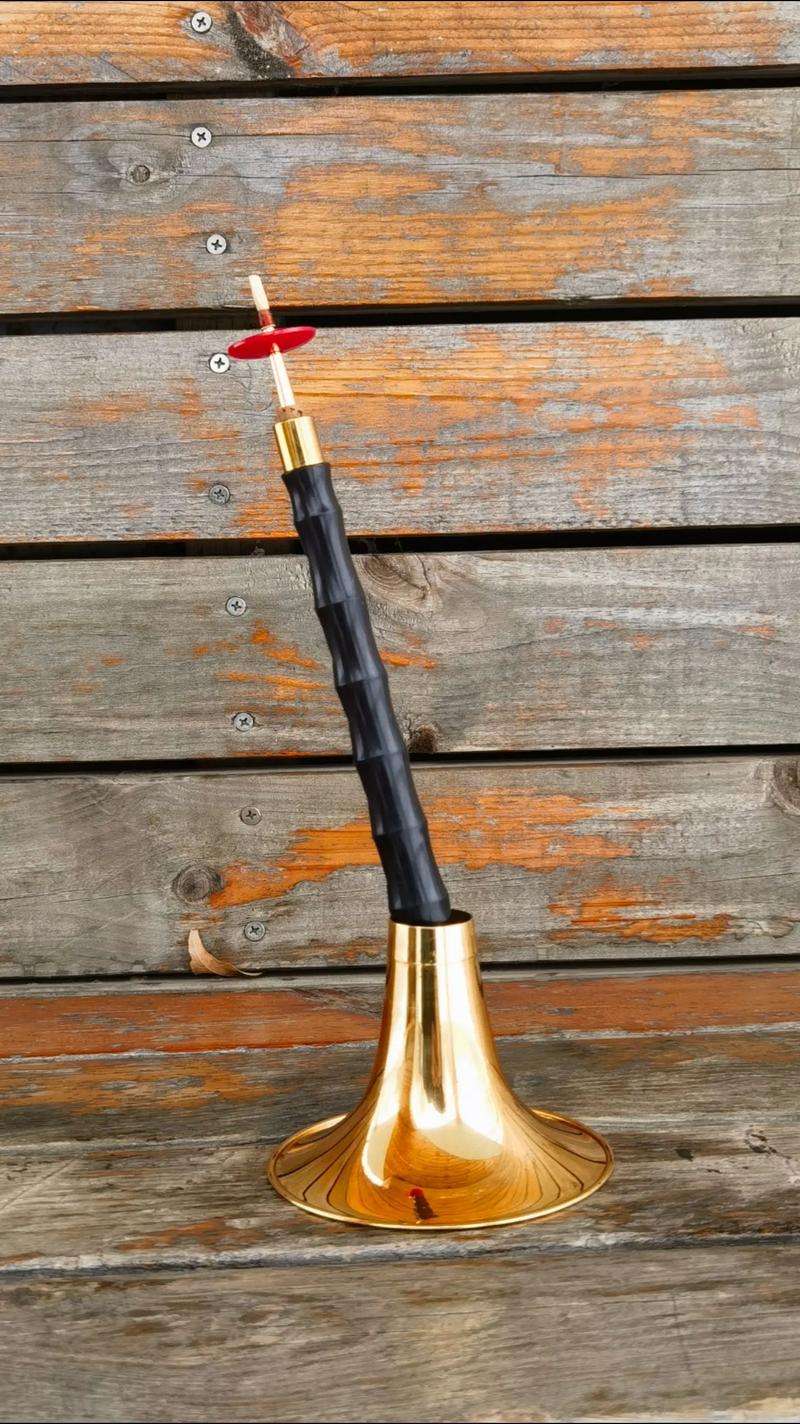 为什么最近唢呐在抖音突然爆火?是传统乐器的逆袭还是流量密码的新玩法?