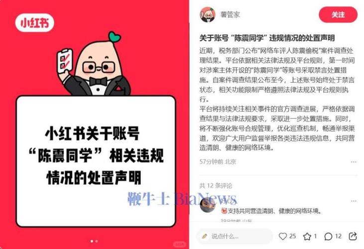 小红书究竟是腾讯系产品还是独立平台?其股权结构与业务合作有何关联?