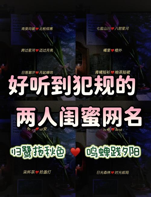 快手同性名单里的女女,是真实情感共鸣还是平台流量密码?