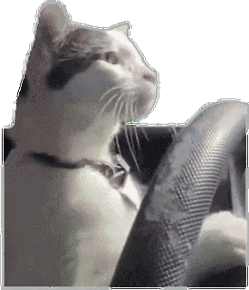 小红书污点动态图片