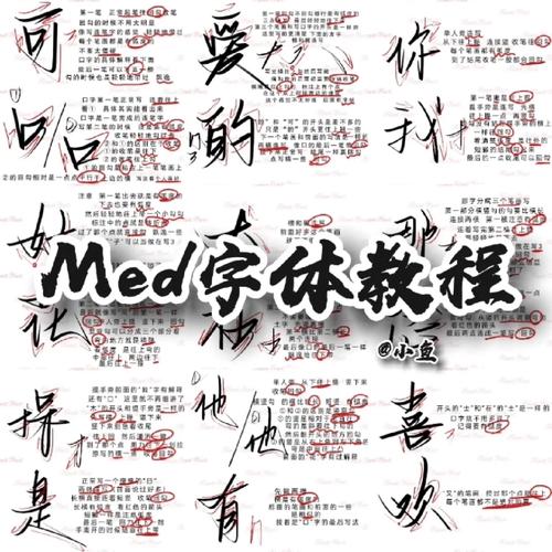 小红书怎么标粗字体?新手必看!3种方法教你轻松搞定笔记重点突出!