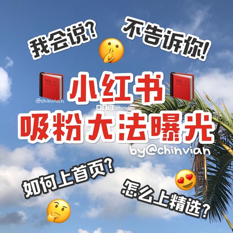 怎样才能让小红书笔记轻松入精选?新手必看的流量密码和避坑指南!