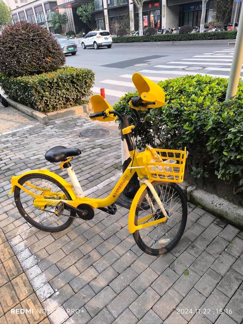 小黄车小红书是什么?它们如何连接电商与内容生态,又为何成为年轻人购物的新宠?