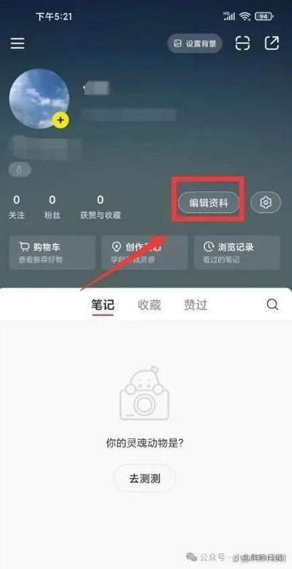 小红书怎么查看客服