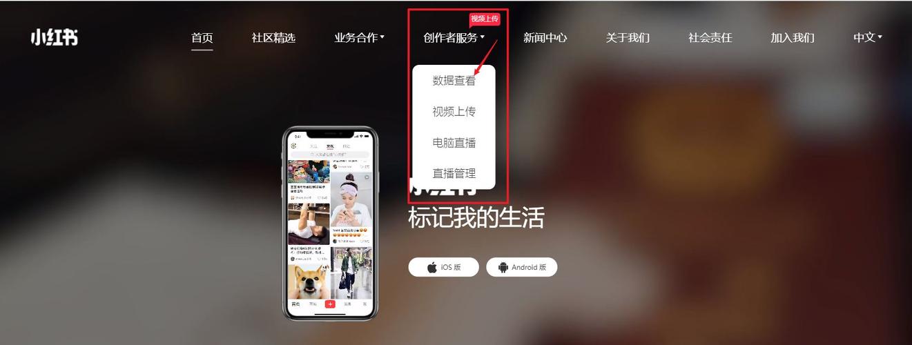 麦小红书网页版登录失败怎么办？忘记密码后如何通过手机号或邮箱找回账号？网页版登录时提示账号异常需要联系客服吗？
