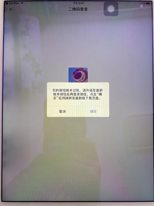 为什么iPad无法登录快手账号？是系统不兼容还是账号设置问题？