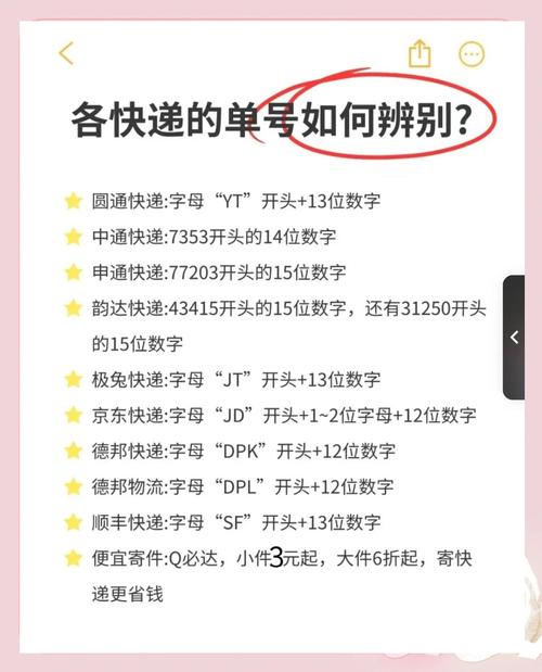 小红书单号在哪里查?新手必看订单查询全攻略,附详细步骤和常见问题解答!
