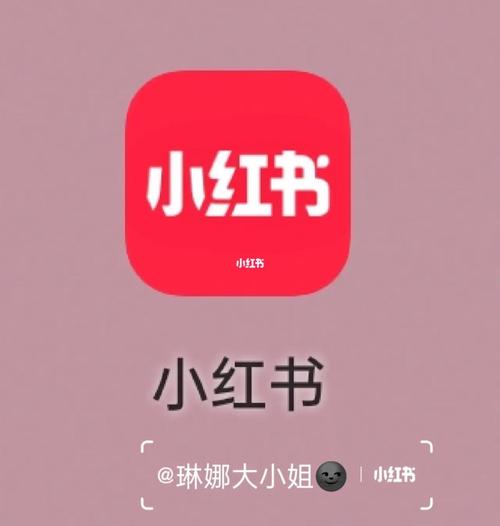 春满东方小红书下载,为何这款APP能成为春日生活美学的新宠?