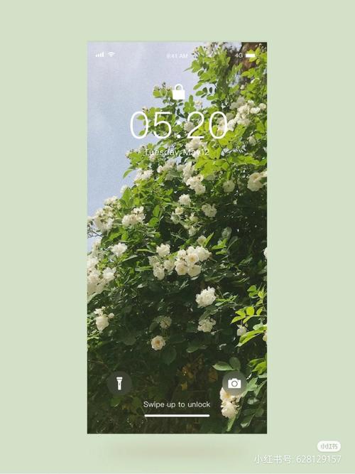 小红书绿色聊天下载安全吗?会不会泄露隐私或携带病毒?