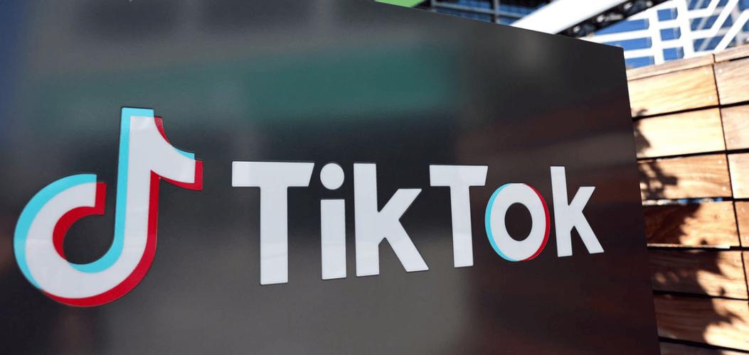 抖音国际版apk下载安全吗?有哪些潜在风险与使用限制?